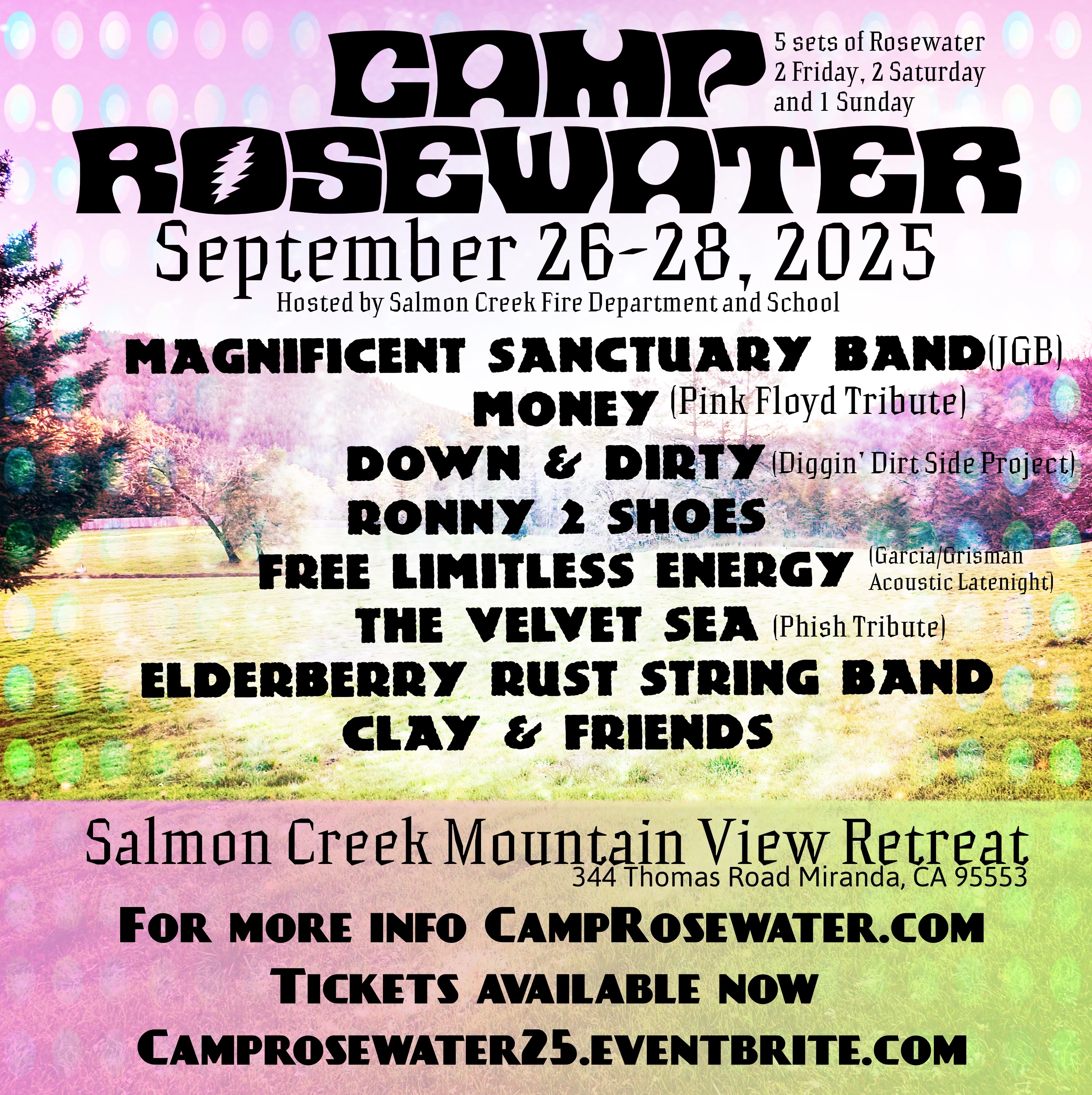 Camp Rosewater 2025 Official Lineup Poster